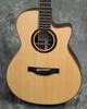 Guitare Acoustique Modèle Signature MORRIS Daisuke Minamizawa S-101M