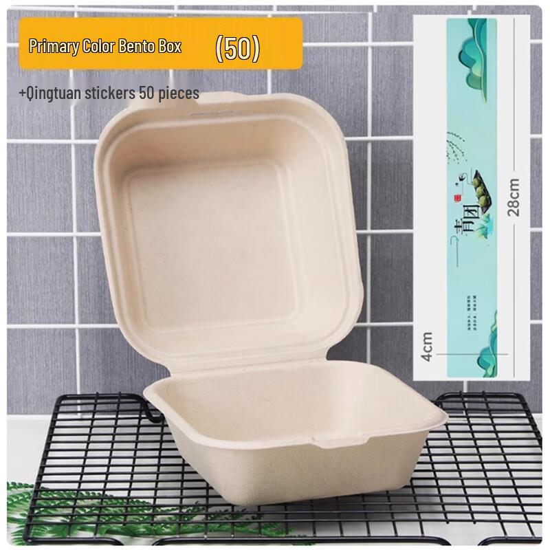 Disposable Pulp Bento & Burger Boxes