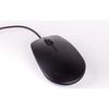 Souris USB - Raspberry Pi® - Noir - Filaire - 3 boutons - Optique