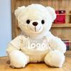 Teddy Bear Plush Toy with Cute Logo and School Emblem Design