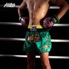 Dark Green Muay Thai Shorts Patch Embroidered High Quality Boxing MMA Fight