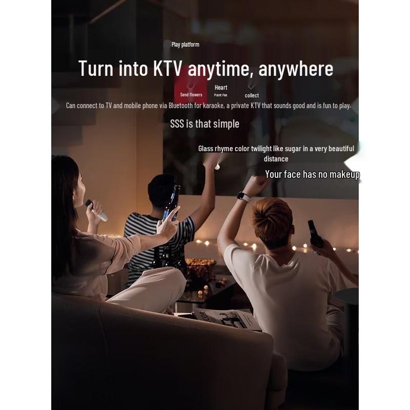 Newmine DP07 Portable Karaoke System with Dual Microphones CN plug (adapter included)