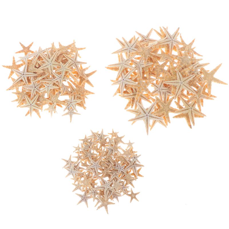 Sea Shells Size:0.5-3Cm 100Pcs Mini Starfish Craft Decoration Natural Sea Stars