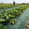 Biodegradable Weed Proof Cloth Double Layer Weed Control Ground Cover  Irrigation Use