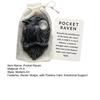 Yousheng Raven Pocket Hug with Positive Card Emotional Support Crow Pocket Token Bird Decoration Inspirational Encouragement Gift