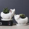 Creative Ceramic Succulent Flower Pot White Cartoon Ocean Series Animal Flower Utensils