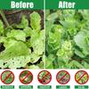 Garden Netting Plant Covers Ultra Fine Mesh Protection For Vegetable Fruits Flowers Crops Greenhouse Raised Bed Barrier Screen