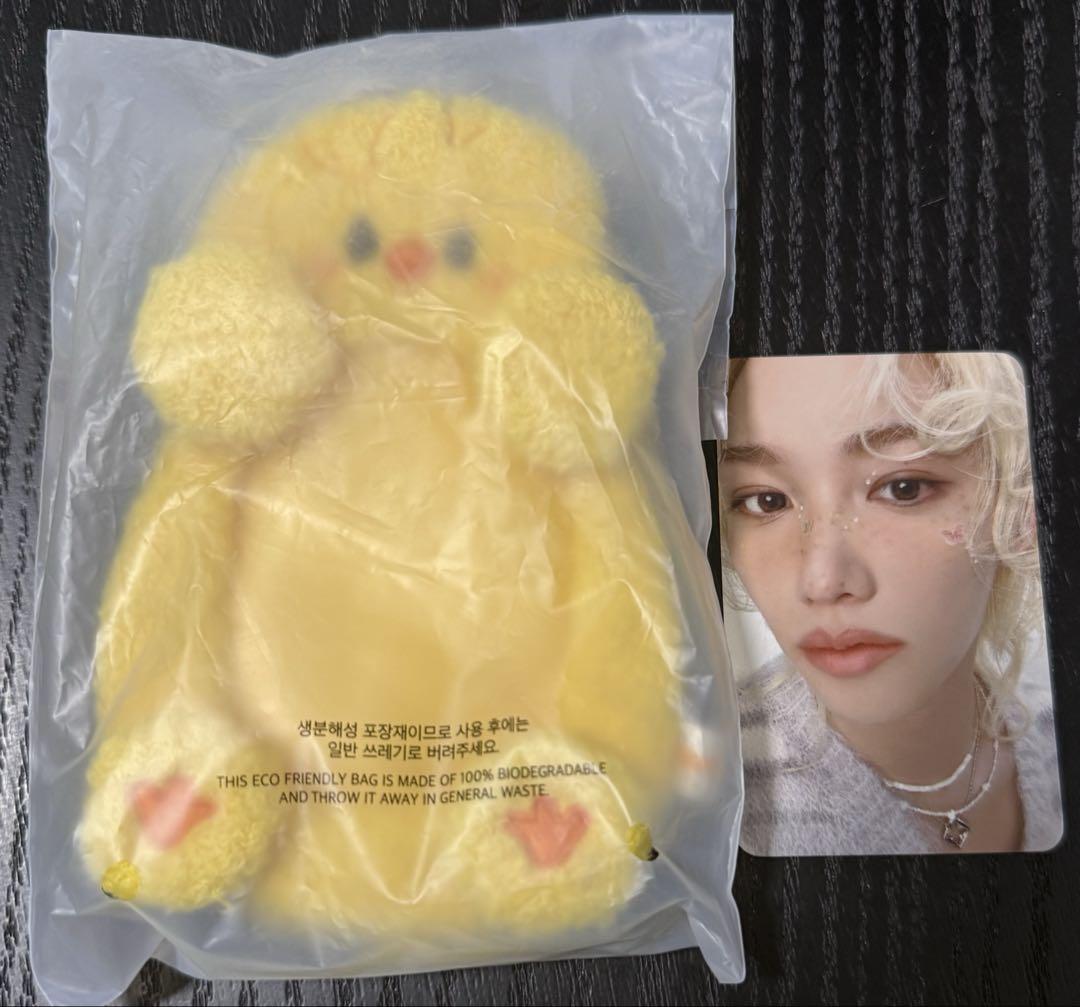 

[USED] StrayKids Korean Fan Meeting Trading Card Case Felix