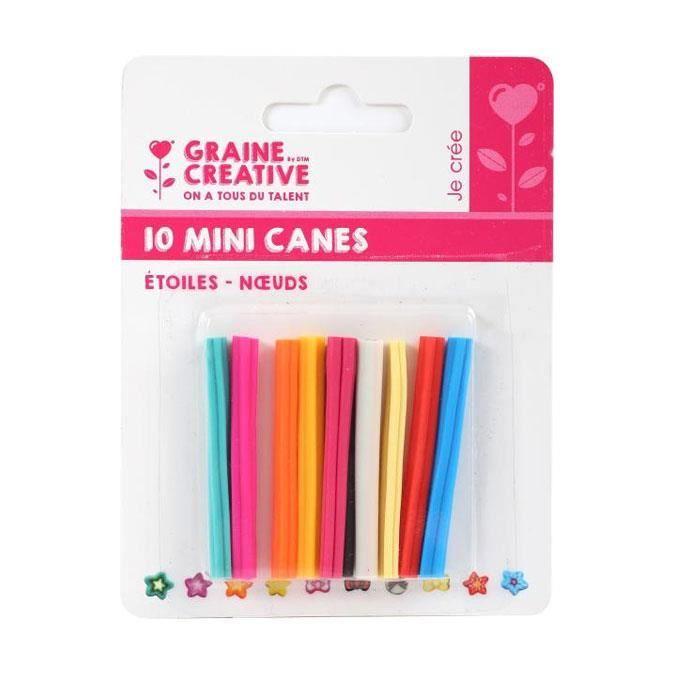 Mini canes - Rougier & Plé - Étoiles - Multicolore - 10 pcs - Mixte