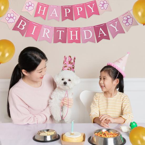 1 Set Pet Birthday Party Decoration Flag Triangle Towel Birthday Hat Balloons