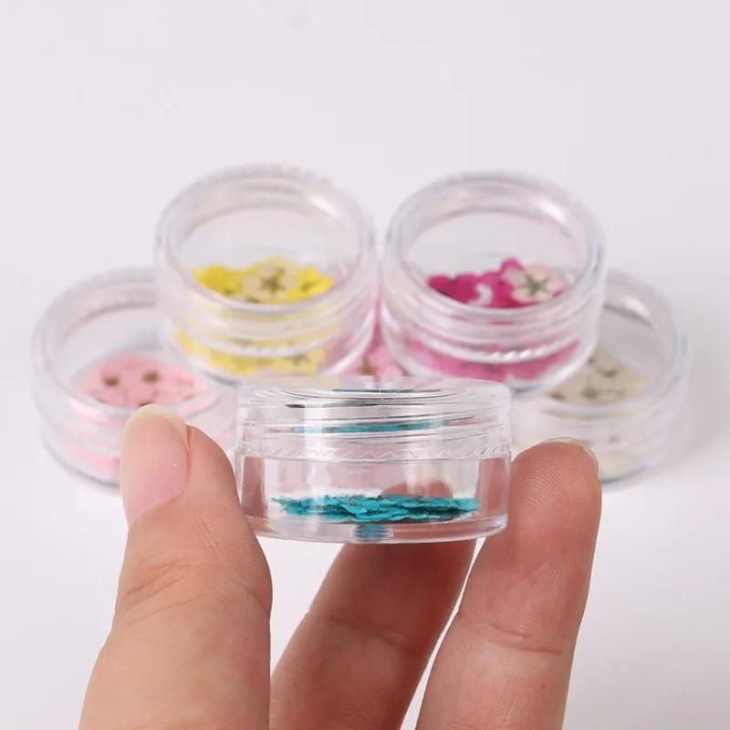 20pcs/Box Nail Art Dried Flowers Spirea Small Plum Narcissus Nail Art Color Mixed Flower Dried Flower Patch DIY Nail Decoration