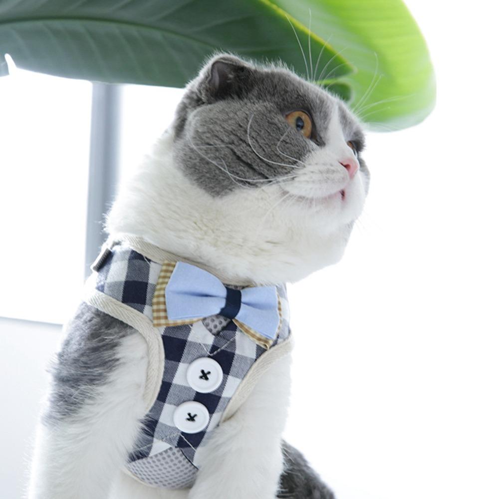 Adjustable Strap Cat Harness Set Adjustable Cat Leash Kitten Daily Activity
