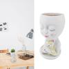 Planter with Face Flower Pot, Resin Head Pot with Drainage Holes, Ideal for   and Home Garden Decoration, Without