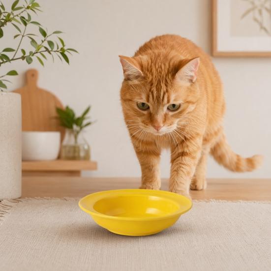 Ceramic Cat Bowl for Dry Wet Food, Microwave Dishwasher Safe Pet Feeder Plate, Whisker Friendly Kitten Food Water Dish