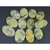 366Cts. Natural Australian Crazy Lace Agate Oval Cabochon Gemstone 12Pcs Lot C-1190