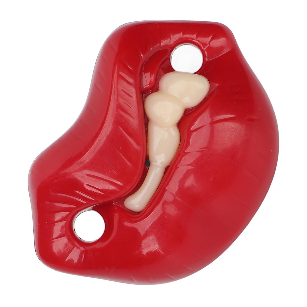 Baby Pacifier Buck Tooth Design Teething Chewing Toy Teether Oral Aligner for Health