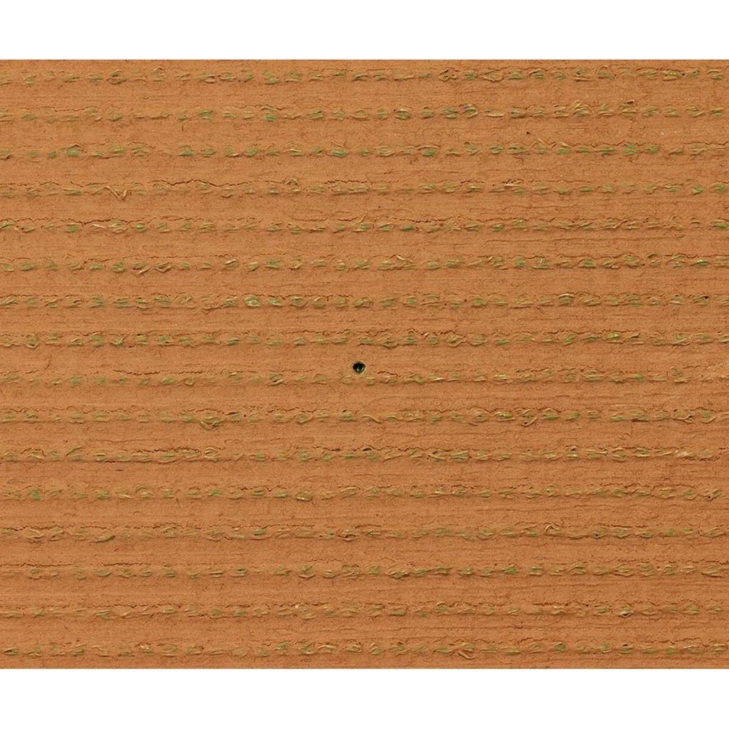 Exelgreen Campus 2D Artificial Grass 1 X 5 M 25 Mm