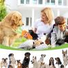 Hunde Plüschtiere Oster Quietschende Karotte Stofftier Kleines Puzzle Lustige Hundespielzeuge Für Welpen Klein Mittel Zuhause Innen Täglich