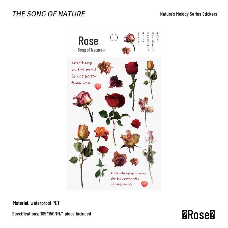 PVC Flower & Plant Stickers for DIY Crafts, Journals, Collages & Kids' Gifts