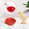10Pcs Automatic Chicken Drinking Cup 9mm Thread Farm Goose Duck Poultry Drinking Bowls Plastic Water Dispenser Feeder Equipment