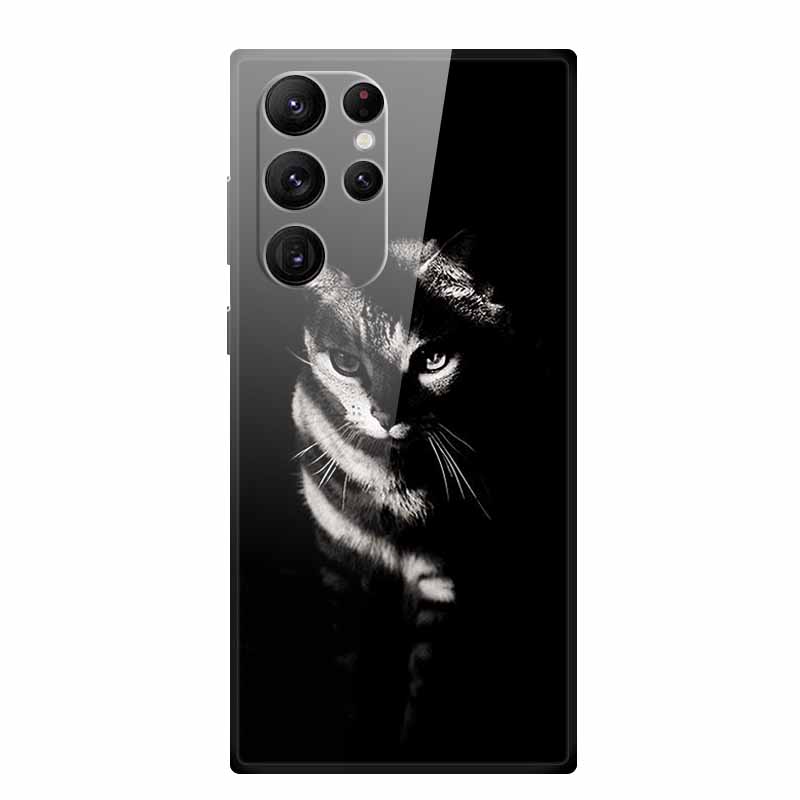 Gehärtetes Glas Case Für Samsung Galaxy S25 Ultra Case S 25 Ultra Hartes Rückseiten Cover Weicher Stoßfänger Für Samsung S23 S22 S24 Ultra Case