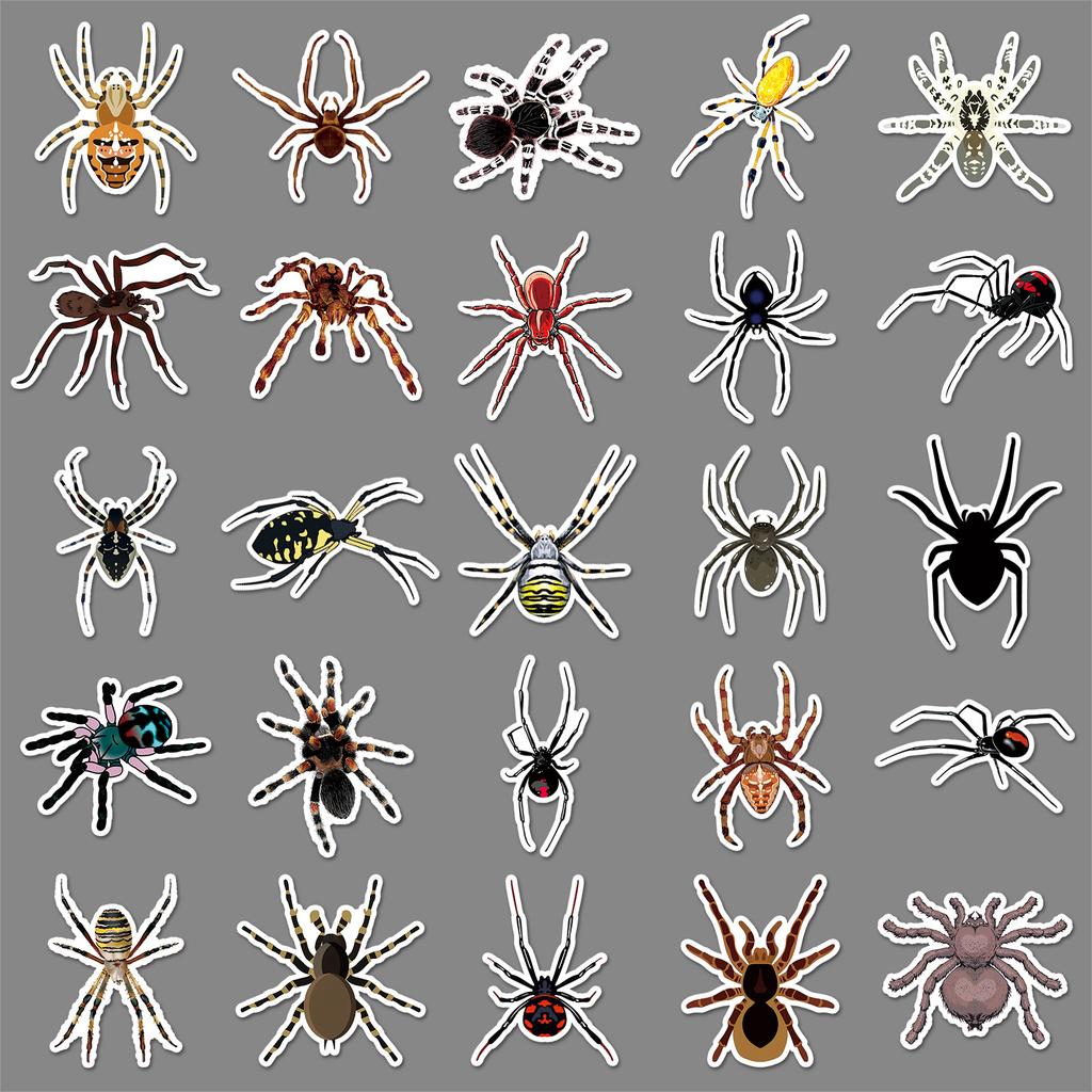 50 Spider Doodle Aufkleber Personalisierte Cartoon Insekt Tier Dekoration Wasserbecher Schreibwaren Handy Computer Aufkleber