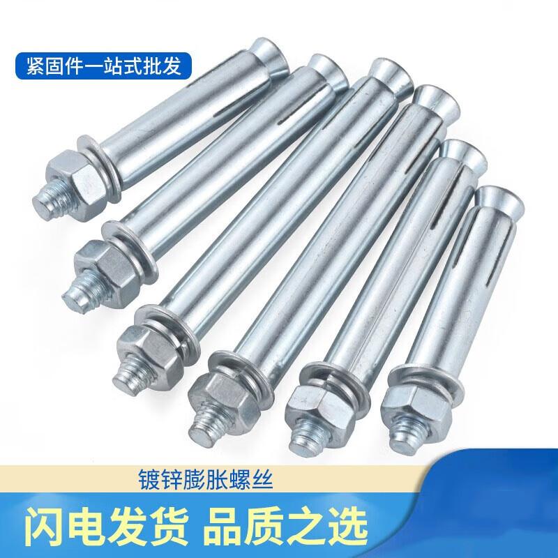 Shuangan Galvanized Expansion Bolts (30-Pack)