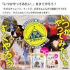 Gakken Science Outdoor Bonfire Challenge (Ages 6 and up) Q750896