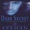 Dark Secret by Christine Feehan Paperback Book 9780749938536