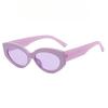 Cat's Eye Retro Women's Fashion Sunglasses Bohemian Spring/Summer Bright Vacation Accessories