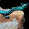 3D Articulated Chinese Dragon Long Chinese Dragon Ornament Joint Movable Dragon Model  Office
