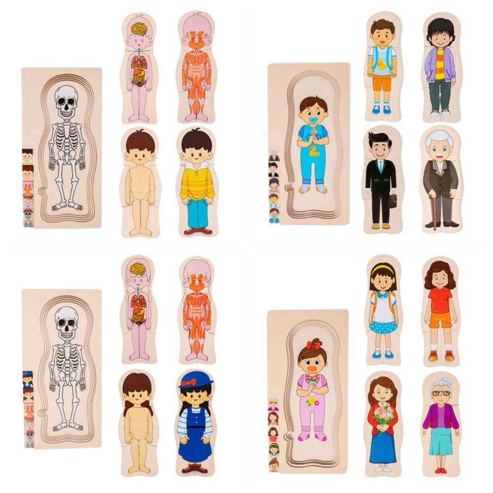 Multi-Layer Wooden Human Body Puzzle Boys Girls Educational Anatomy Jigsaw  Learn Body Parts