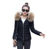 New Collection, Korean Edition New Collection, Women's Cotton Jacket, Short Style, Slim Fit Cotton Coat, Cold Proof Down Cotton Jacket, Outer Coat