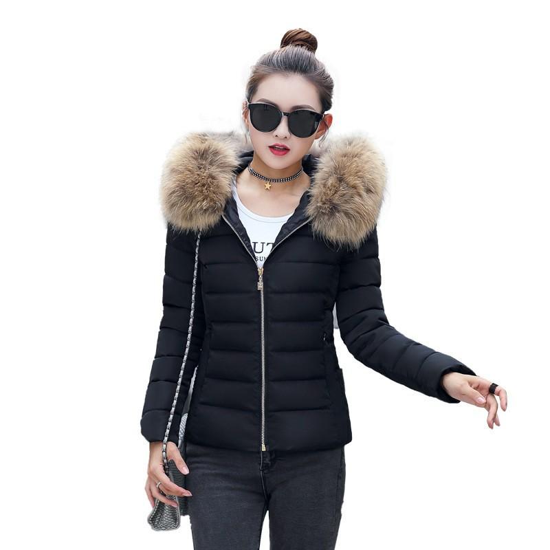 New Collection, Korean Edition New Collection, Women's Cotton Jacket, Short Style, Slim Fit Cotton Coat, Cold Proof Down Cotton Jacket, Outer Coat