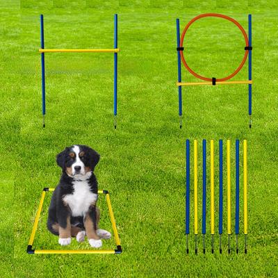 Dog Agility Training Set: Jump Bar, Hoop, Hurdles & Weave Poles