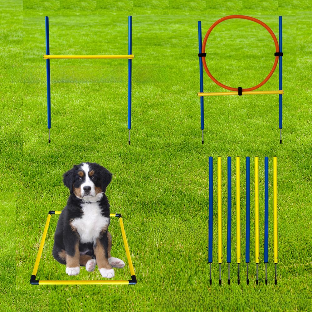 Dog Agility Training Set: Jump Bar, Hoop, Hurdles & Weave Poles