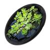 Floating Island Plant Protector Pond Basket with Fine Mesh Round Floating Flora Fish Barrier Floating Island Planter