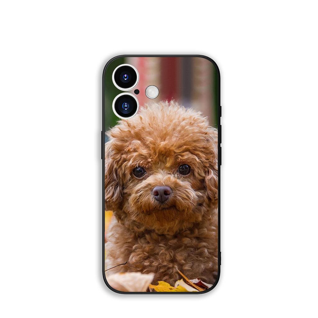 Funda Coque Cover for Samsung Galaxy A55 A56 A25 A36 A54 S8 S9 S21 S20 FE A53 A13 A12 A14 A33 A70 A71 A51 A21S Case Poodle Dog
