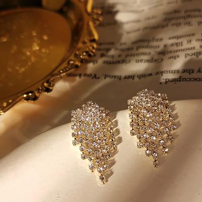 Women's Gorgeous Cubic Tassel Silver Needle Earrings