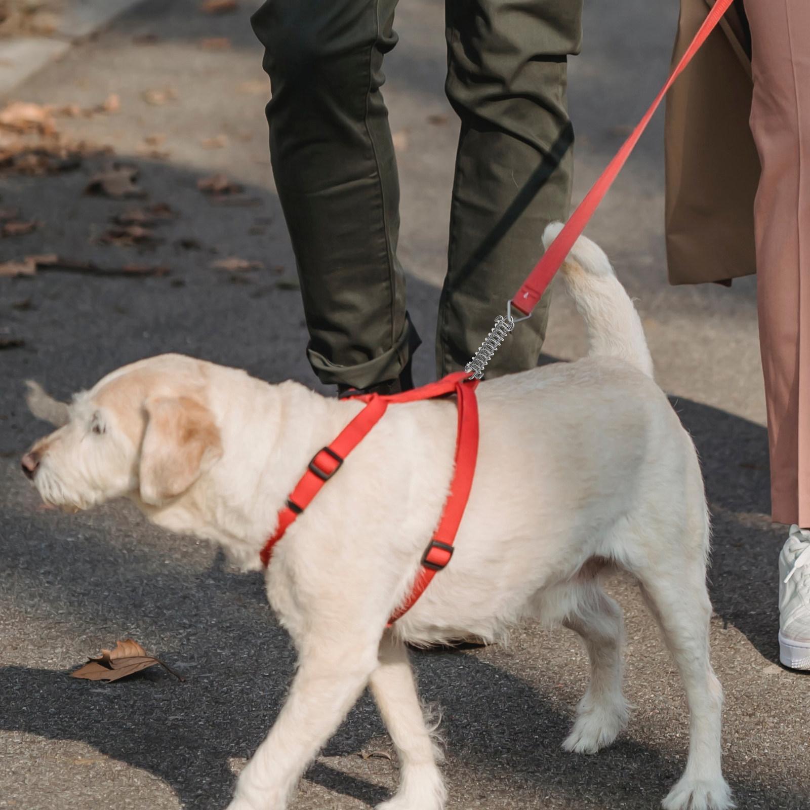 Dog Leash Shock Absorbing Spring Heavy Duty Leash Spring Large Dog Tie Out Shock Absorber Training Walking Outdoors 9.5X3.1X2.2CM