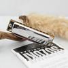 Mundharmonika 10 Löcher C-Ton Klar Stabiler Klang Mundorgel Exquisite Schöne Harmonica C
