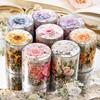 Encounter Flower Sea Series: Fresh Plant Theme PET Die-cut Adhesive Tape for DIY Journal Collage