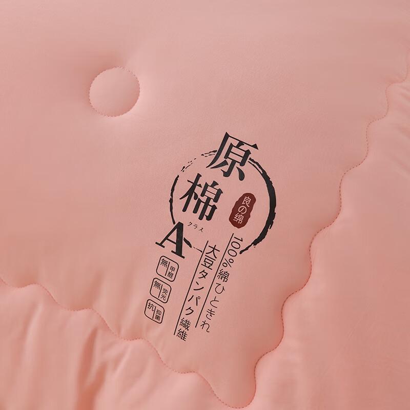 Manya Ju Washed Cotton Soybean Quilt