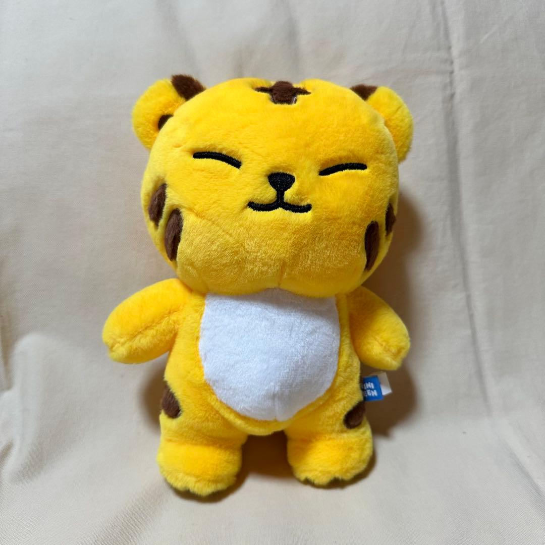 

[USED] Authentic MINITEEN Seventeen Hoshi Korean Pop-Up Plush Beauty Face