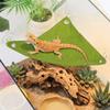 Lightweight Lizard Triangle Hammock Suction Cup Pet Climbing Net  Habitat Decor