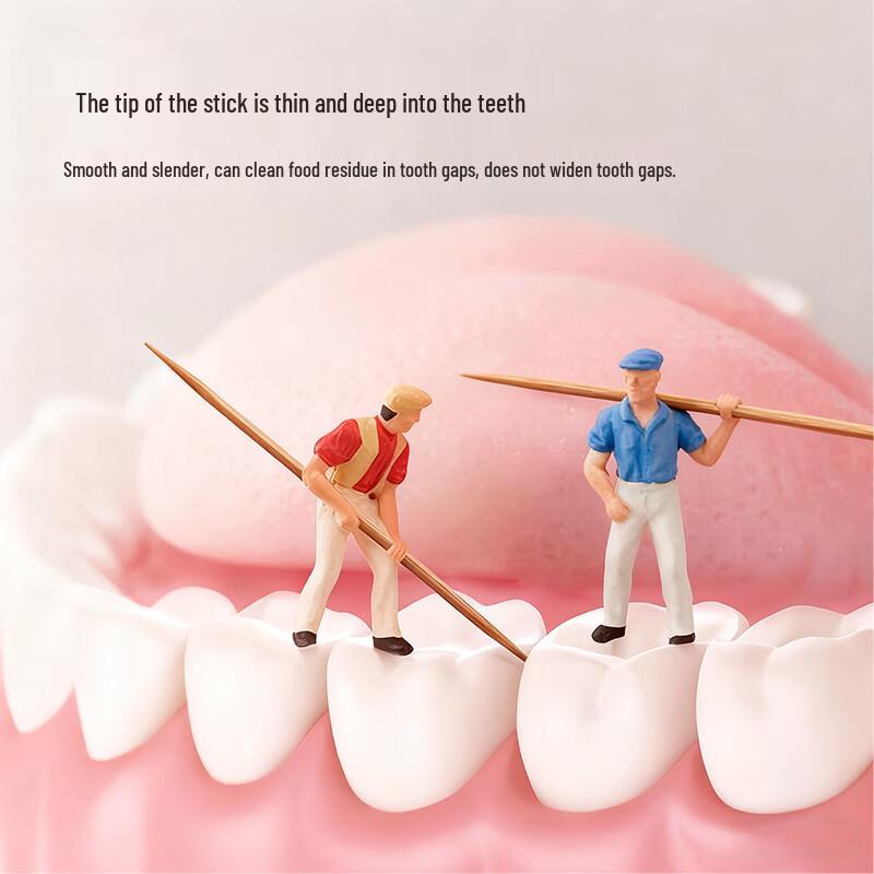 Disposable Bamboo Toothpicks