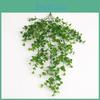 Wall Eucalyptus Plant Plastic Leaves Interior Design Photography Scenes