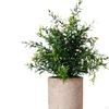 Plant Green -art Decor for Bedroom Inner Garden Terrace Balcony