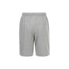 Nike Marken-Swoosh-Logo-Shorts BV2772-063
