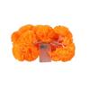 Dahlia & Chrysanthemum LED String Lights for Halloween Decoration